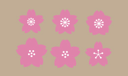 桜の花びらのイラスト 2